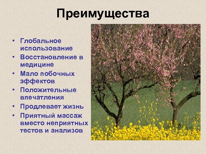 Преимущества • Глобальное использование • Восстановление в медицине • Мало побочных эффектов • Положительные