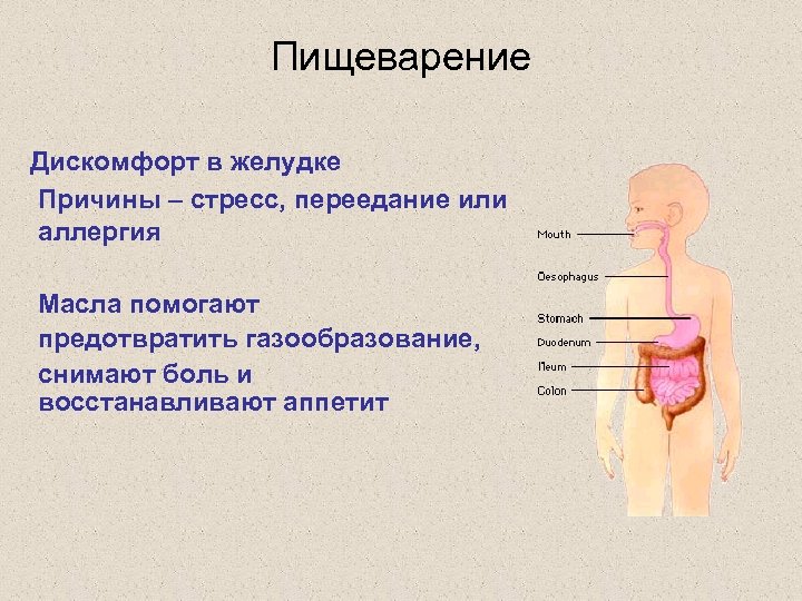 Пищеварение Дискомфорт в желудке Причины – стресс, переедание или аллергия Масла помогают предотвратить газообразование,