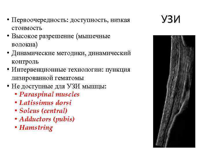  • Первоочередность: доступность, низкая стоимость • Высокое разрешение (мышечные волокна) • Динамические методики,