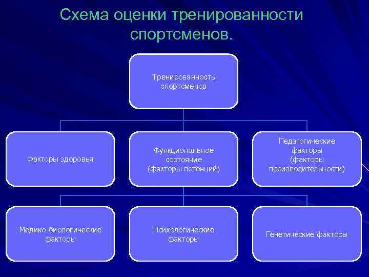 Схема оценки тренированности спортсменов. Тренированность спортсменов Факторы здоровья Функциональное состояние (факторы потенций) Медико-биологические факторы
