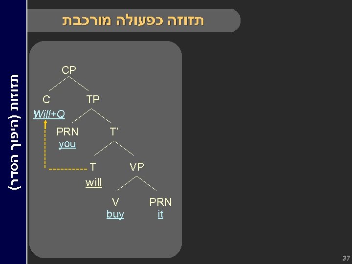 CP C Will+Q ----- ( ת ז ו ת ) ה י פ ו