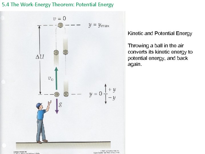 5. 4 The Work-Energy Theorem: Potential Energy Kinetic and Potential Energy Throwing a ball