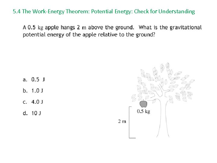 5. 4 The Work-Energy Theorem: Potential Energy: Check for Understanding 