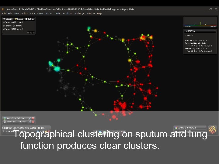  Topographical clustering on sputum and lung function produces clear clusters. 