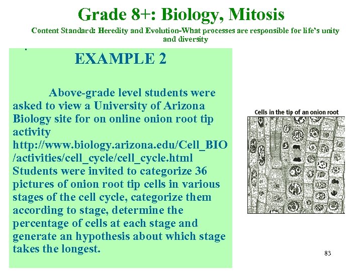Grade 8+: Biology, Mitosis. Content Standard: Heredity and Evolution-What processes are responsible for life’s