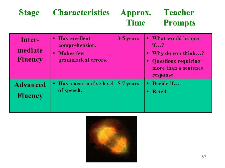 Stage Characteristics Intermediate Fluency • Has excellent comprehension. • Makes few grammatical errors. Advanced