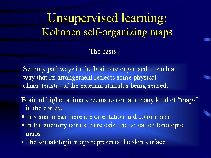 Unsupervised learning: Kohonen self-organizing maps The basis Sensory pathways in the brain are organised