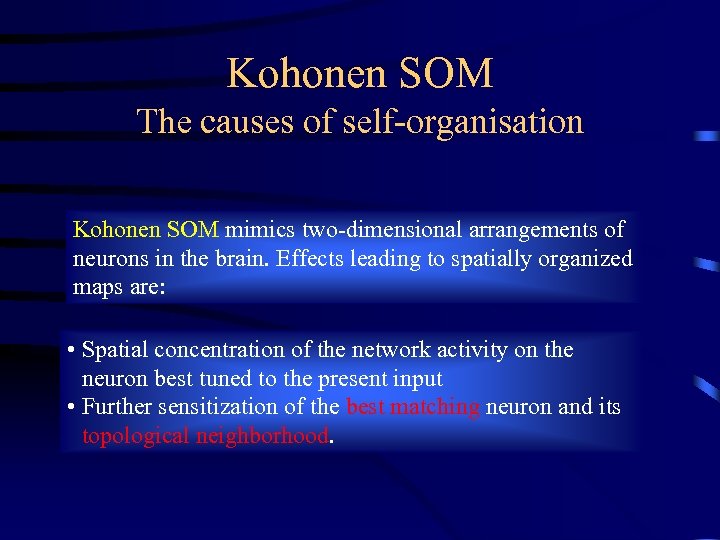 Kohonen SOM The causes of self-organisation Kohonen SOM mimics two-dimensional arrangements of neurons in