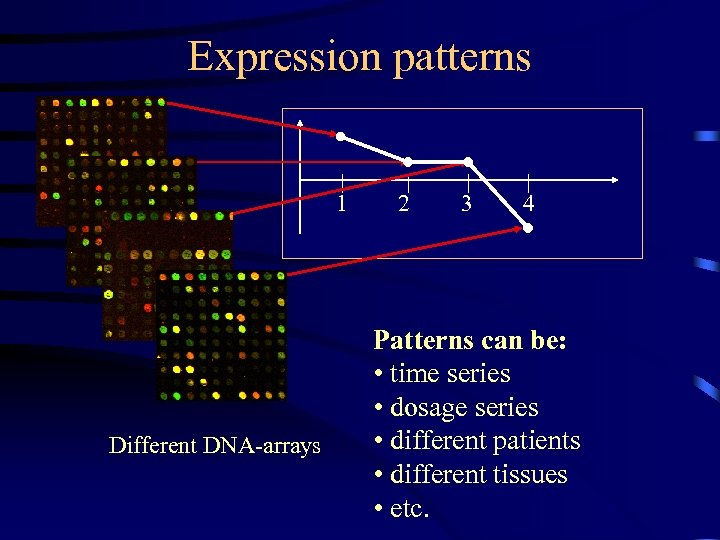 Expression patterns 1 Different DNA-arrays 2 3 4 Patterns can be: • time series