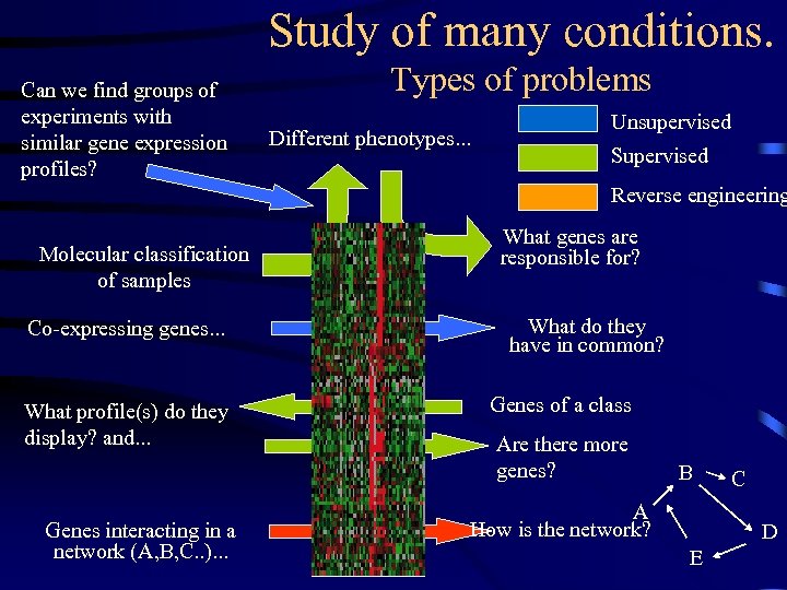 Study of many conditions. Can we find groups of experiments with similar gene expression