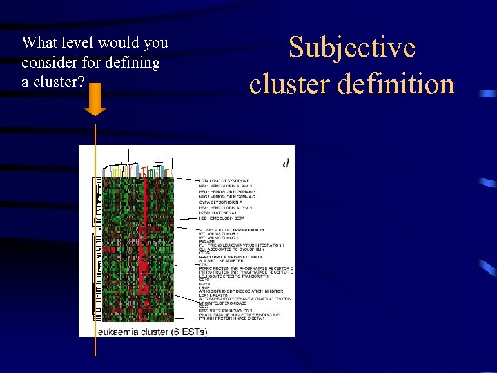 What level would you consider for defining a cluster? Subjective cluster definition 