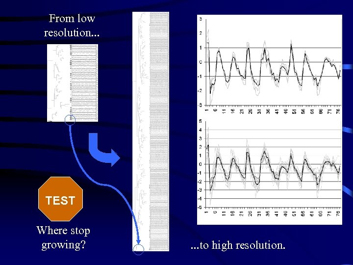 From low resolution. . . TEST Where stop growing? . . . to high