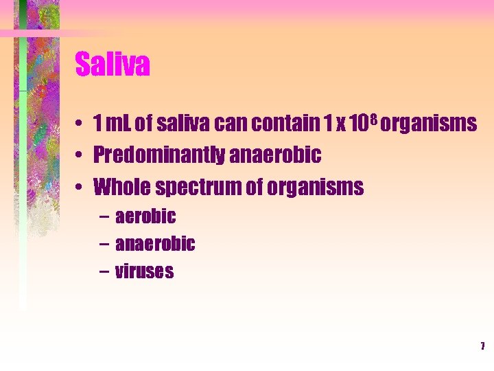Saliva • 1 m. L of saliva can contain 1 x 108 organisms •