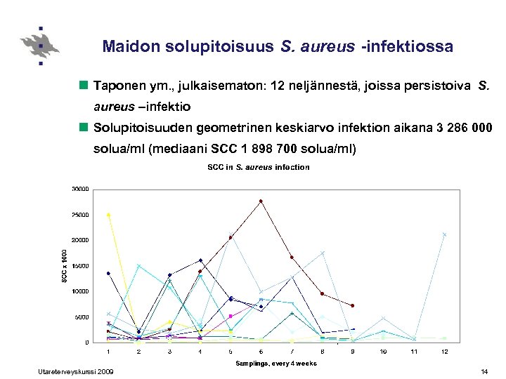 Maidon solupitoisuus S. aureus -infektiossa n Taponen ym. , julkaisematon: 12 neljännestä, joissa persistoiva