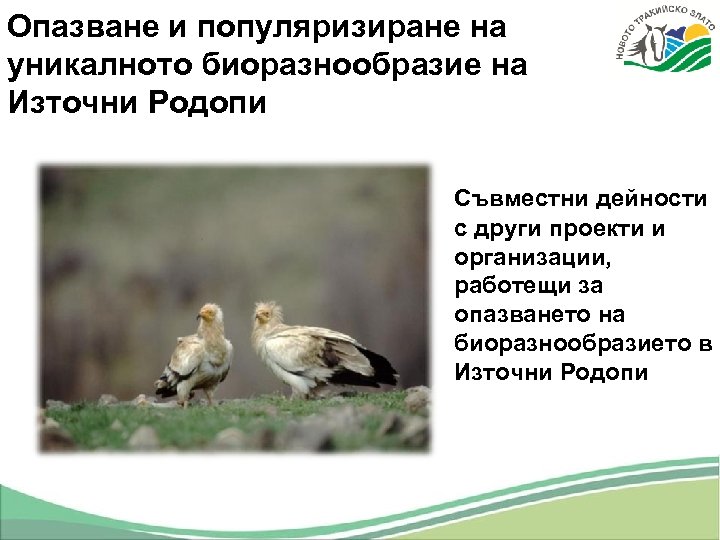Опазване и популяризиране на уникалното биоразнообразие на Източни Родопи Съвместни дейности с други проекти