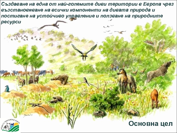 Създаване на една от най-големите диви територии в Европа чрез възстановяване на всички компоненти