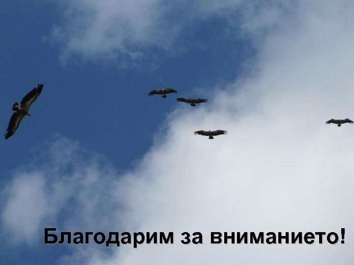 Благодарим за вниманието! 