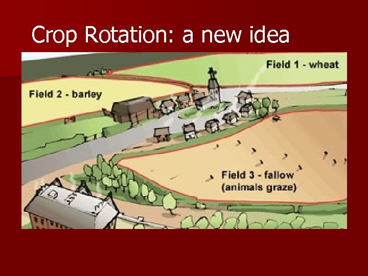 Crop Rotation: a new idea 