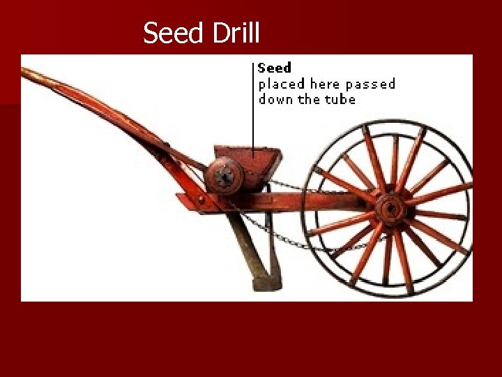 Seed Drill 