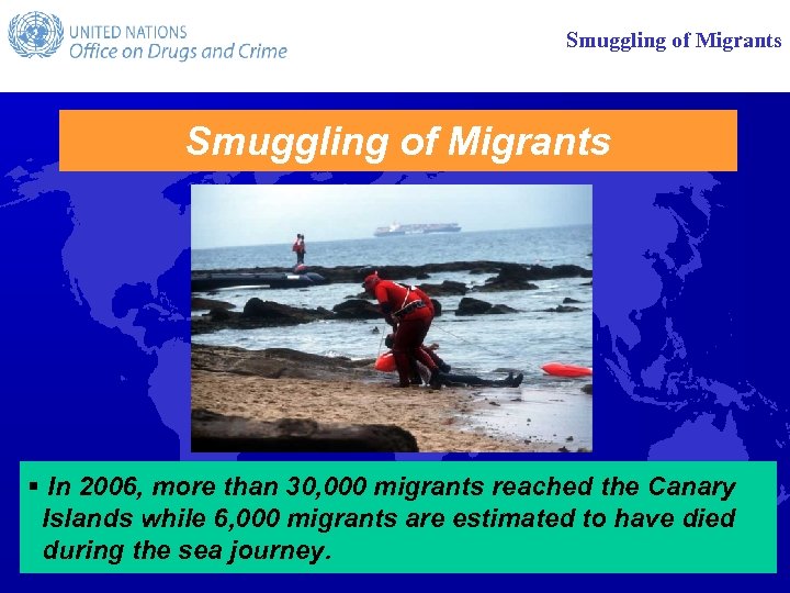 Smuggling of Migrants § In 2006, more than 30, 000 migrants reached the Canary