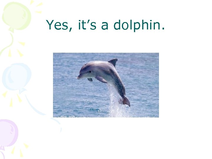 Yes, it’s a dolphin. 