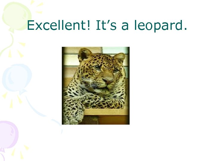 Excellent! It’s a leopard. 