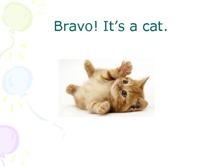 Bravo! It’s a cat. 