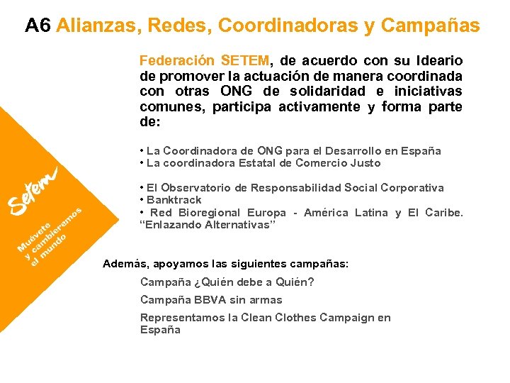 A 6 Alianzas, Redes, Coordinadoras y Campañas Federación SETEM, de acuerdo con su Ideario