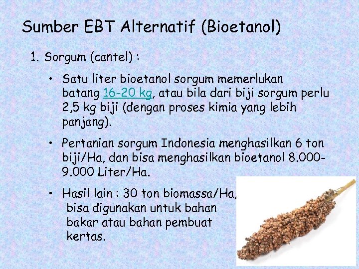 Sumber EBT Alternatif (Bioetanol) 1. Sorgum (cantel) : • Satu liter bioetanol sorgum memerlukan