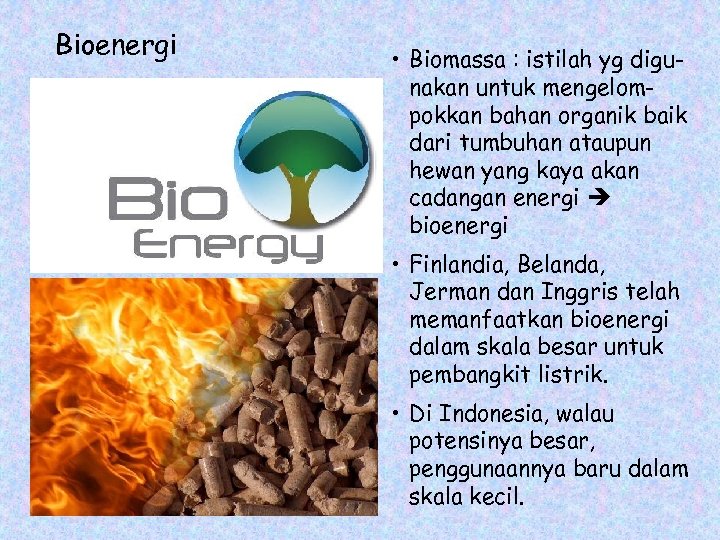 Bioenergi • Biomassa : istilah yg digunakan untuk mengelompokkan bahan organik baik dari tumbuhan