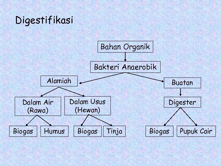 Digestifikasi Bahan Organik Bakteri Anaerobik Alamiah Dalam Air (Rawa) Biogas Humus Buatan Dalam Usus