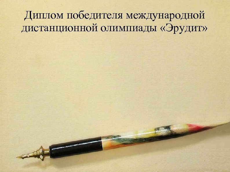 Диплом победителя международной дистанционной олимпиады «Эрудит» 