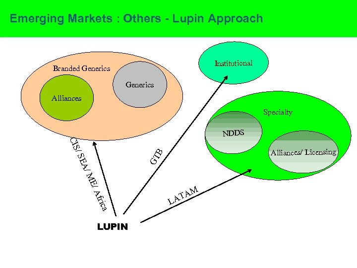 Emerging Markets : Others - Lupin Approach Institutional Branded Generics Alliances Specialty NDDS A/