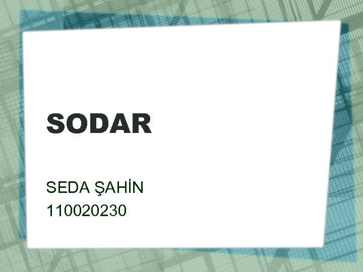 SODAR SEDA ŞAHİN 110020230 