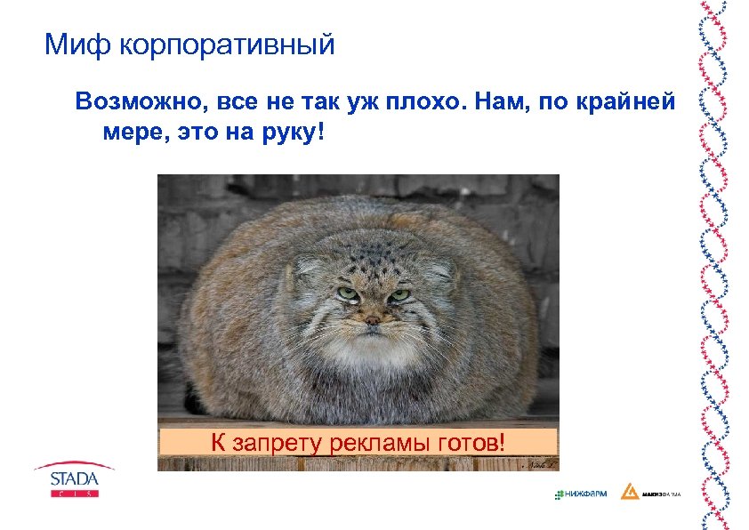 Миф корпоративный Возможно, все не так уж плохо. Нам, по крайней мере, это на