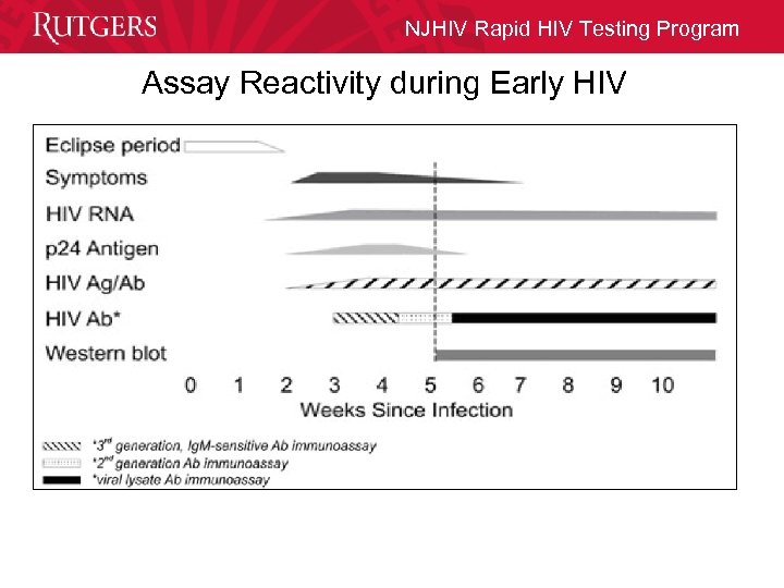 NJHIV Rapid HIV Testing Program Assay Reactivity during Early HIV 