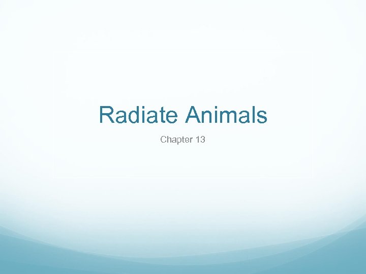 Radiate Animals Chapter 13 