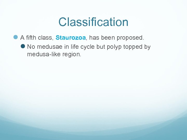 Classification l A fifth class, Staurozoa, has been proposed. l No medusae in life