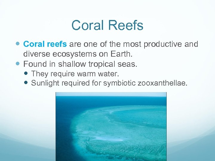 Coral Reefs Coral reefs are one of the most productive and diverse ecosystems on