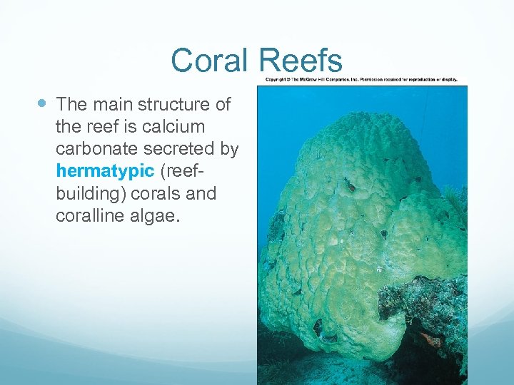 Coral Reefs The main structure of the reef is calcium carbonate secreted by hermatypic