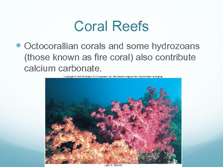 Coral Reefs Octocorallian corals and some hydrozoans (those known as fire coral) also contribute