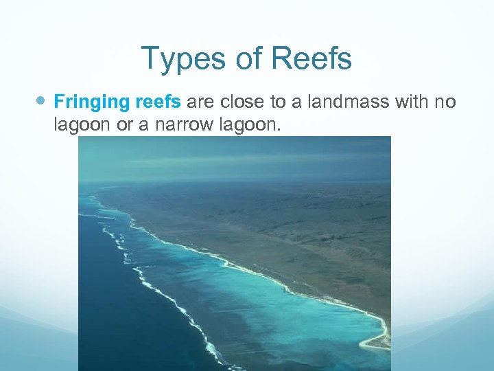 Types of Reefs Fringing reefs are close to a landmass with no lagoon or