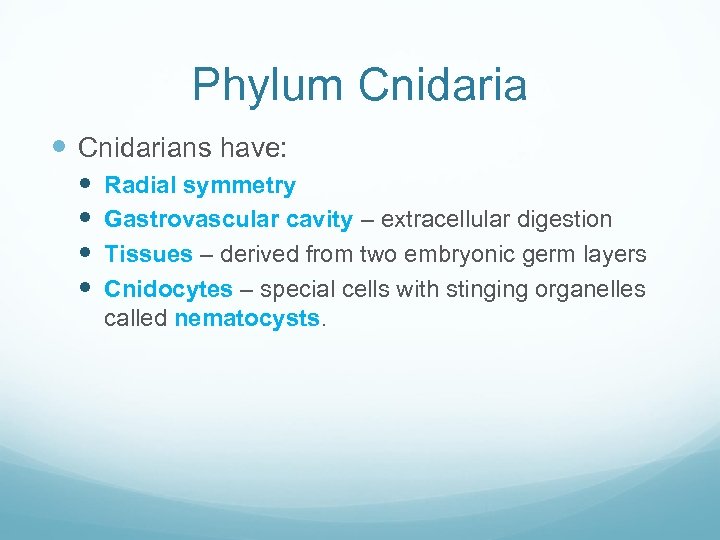 Phylum Cnidarians have: Radial symmetry Gastrovascular cavity – extracellular digestion Tissues – derived from