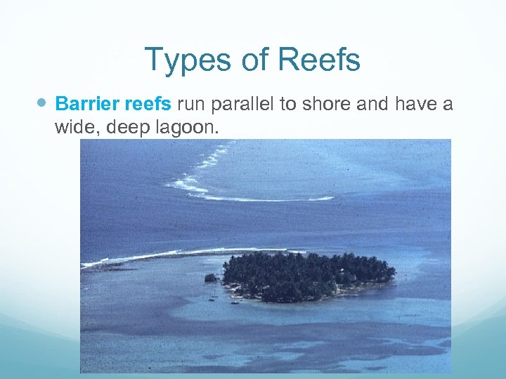 Types of Reefs Barrier reefs run parallel to shore and have a wide, deep