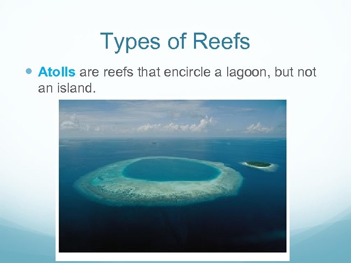 Types of Reefs Atolls are reefs that encircle a lagoon, but not an island.