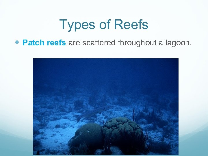 Types of Reefs Patch reefs are scattered throughout a lagoon. 