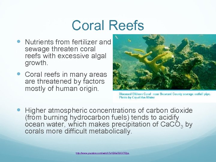 Coral Reefs Nutrients from fertilizer and sewage threaten coral reefs with excessive algal growth.