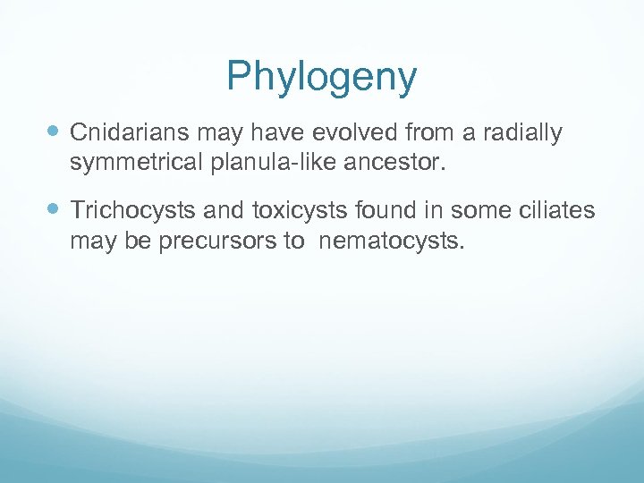 Phylogeny Cnidarians may have evolved from a radially symmetrical planula-like ancestor. Trichocysts and toxicysts