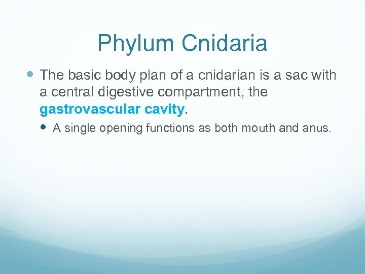 Phylum Cnidaria The basic body plan of a cnidarian is a sac with a