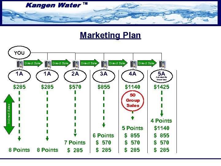 Marketing Plan YOU Direct Sale Direct Sale 1 A 1 A 2 A 3